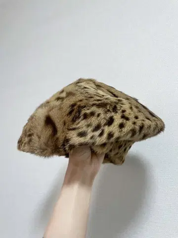 초레어 헤이세이 레오파드 변형 베레모