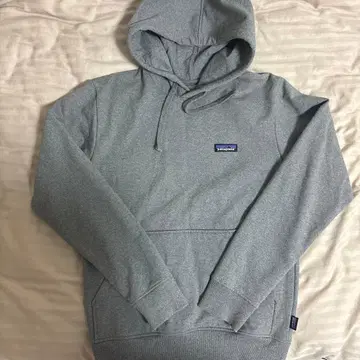Patagonia 그레이 후드 부착 후드티