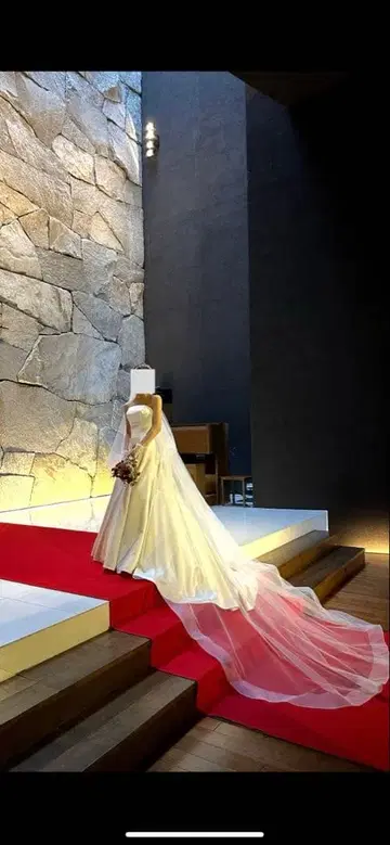 AULA NOVA 아우라노바라인 웨딩 드레스 2024년