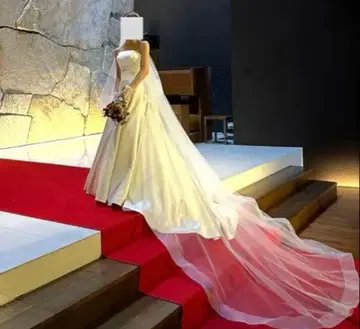 AULA NOVA 아우라노바라인 웨딩 드레스 2024년