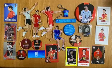 배구 일본 대표 오사카 블루테온 야마우치 아키히로 굿즈 묶음 판매