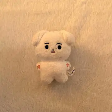 ENHYPEN 성훈 봉제 인형 10cm 인형