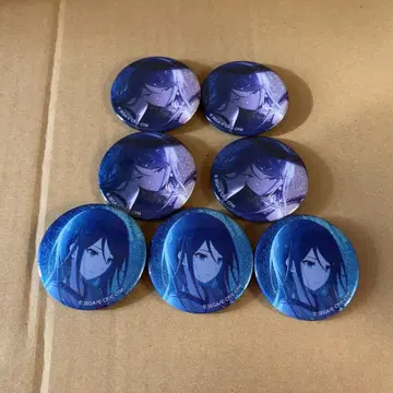 프로세카 이치카 41b 42b