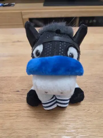 레드팔크스 아이돌 호스 S