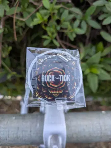진미래제 BUCK-TICK 가챠가챠 아크릴 키링 바쿠치쿠