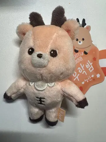 RIIZE 성찬 봉제 인형 8cm