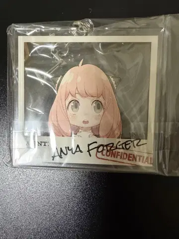 SPY x FAMILY x 타워 레코드 아크링 키링