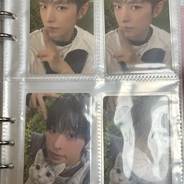 nct wish 컬러 쥬얼앨범 리쿠 유우시 엔위시 포카