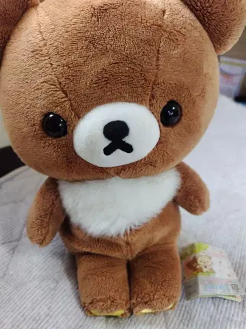 갈색곰 쿠타리 봉제 인형