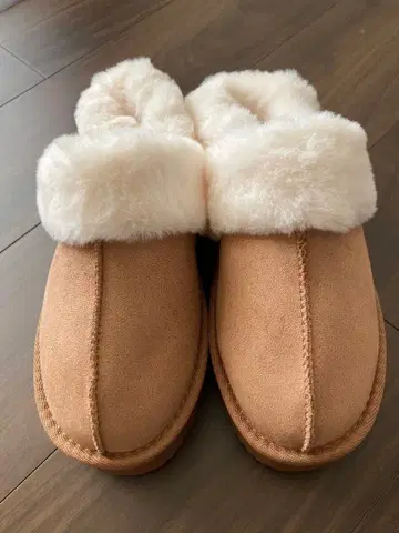 시마무라 cmarino wrinkle choco 콜라보 사보