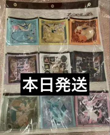 1개 월 포켓 Eevee Collection 이브이 컬렉션