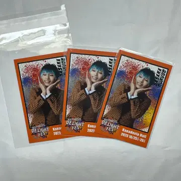 힙스테 감사제 폴라로이드풍 카드 시라누이 사사라 키타데 류세이