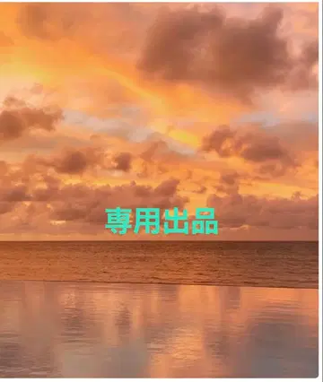 agate 아가 모티브 롱 목걸이 YGK10