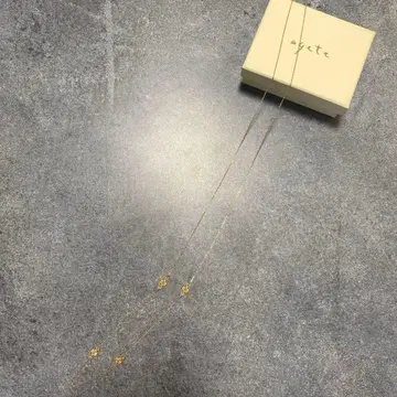 agate 아가트 모티브 롱 목걸이 YGK10