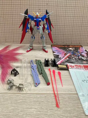 MG 데스티니 건담 익스트림 블라스트 정크