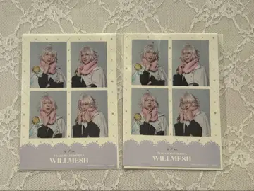 플라뮤 윌 메쉬