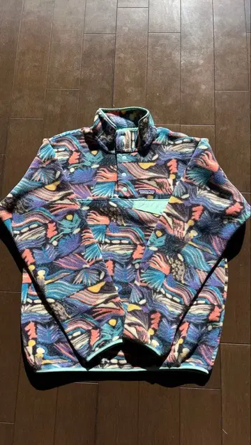 레어! Patagonia 스냅T 50주년 M