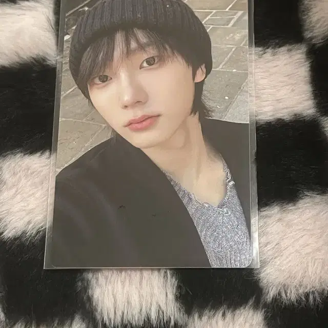 보이넥스트도어 보넥도 성호 스티커 앨범 포토카드 포카 양도합니다!