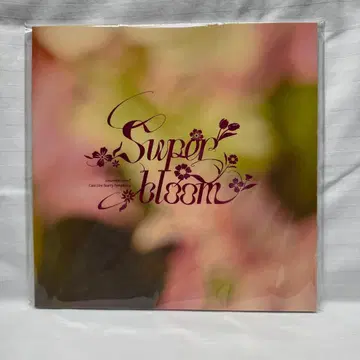 앙상블 스타즈 스타포니 Superbloom 별책 팜플렛