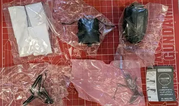 생물대도감 어드밴스 파 사슴벌레