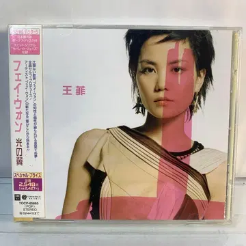 페이 원/빛의 날개