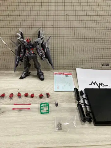 HRM 아스트레이 느와르 해외 조립 완료