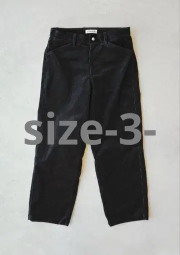 Echeveria Corduroy Torouthers OVY kaja W