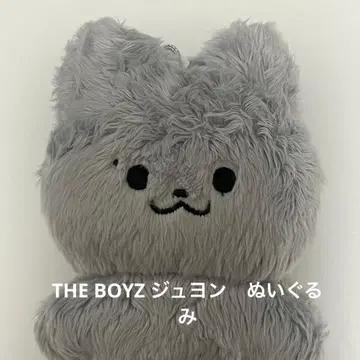 THE BOYZ 주연 봉제 인형