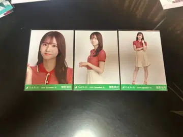 노기자카46 브로마이드 스가와라 사츠키 폴로 니트 컴프