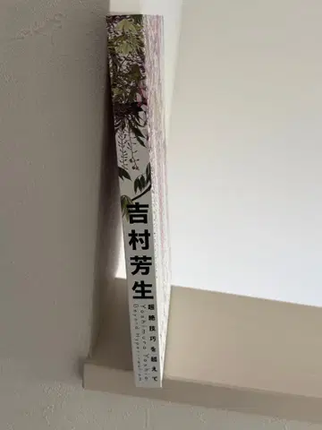 요시무라 요시오 Yoshimuna Yoshio 초절정 기교를 넘어서 도록