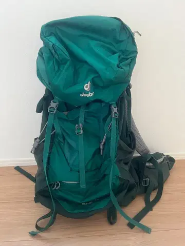 deuter Futura Vario 50+10 그린