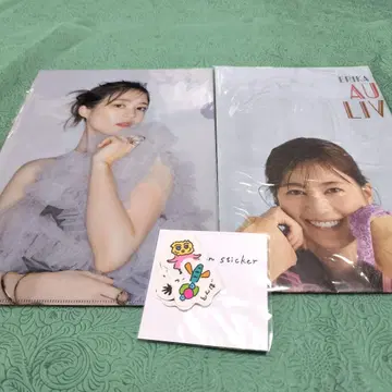 이쿠타 에리카 Autumn Live Tour 클리어 파일 스티커