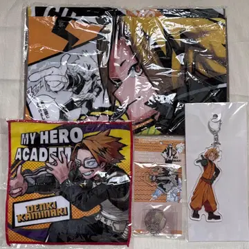 나의 히어로 아카데미아 가미나리 덴키 세트