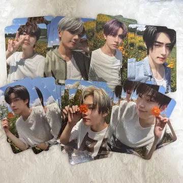ENHYPEN SHOPEE kpopmerch 70장