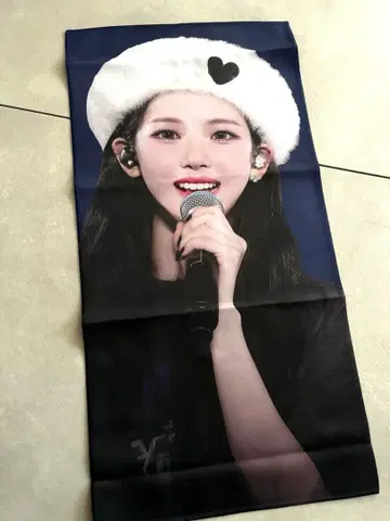 카리나 슬로건 도쿄돔