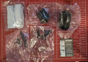 생물대도감 어드밴스 파 넓적사슴벌레 (대형종)