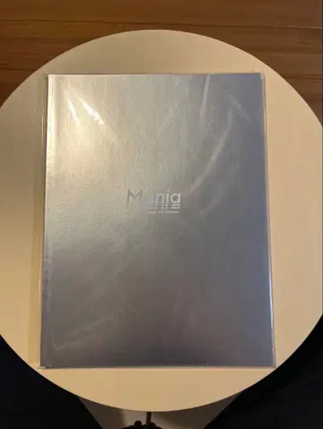 Snow Man Mania 팜플렛