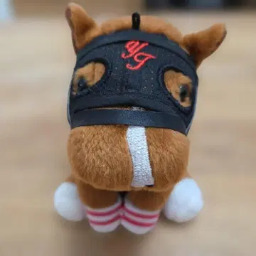 메이저 엠블럼 아이돌 호스 S