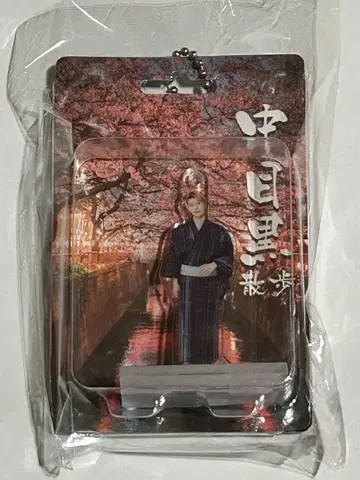 토라킨 블리스터 키링 하세가와 신