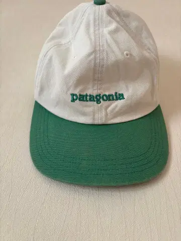 patagonia 화이트 그린 캡