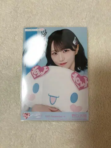 이코럽 노구치 이오리 친필 브로마이드 요리 시나몬 시나모롤 2025