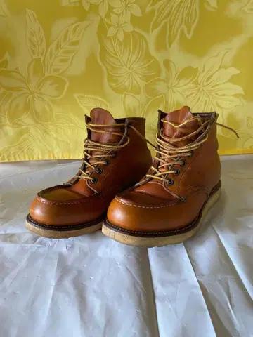90년대 개 각인 RED WING 아이리쉬 세터