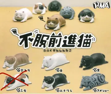 불복 전진 고양이 전 5종 가챠 피규어