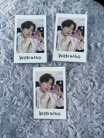 SEVENTEEN follow again 원우