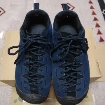 KEEN 재스퍼 아웃도어 신발 25cm