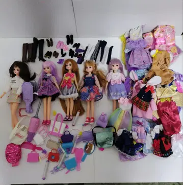 리카짱 인형 5체와 의상, 신발, 액세서리 세트 묶음 판매