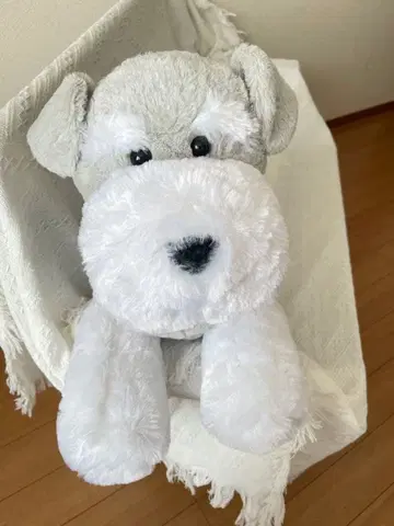 슈나와 밥 스탠드업 울트라 BIG [슈나]