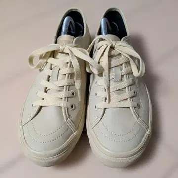 VANS WALBER WR WR V40CL+DECO