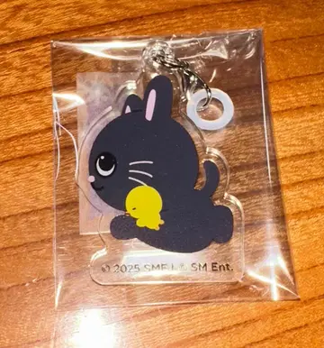 RIIZE PARK CAFE 랜덤 스트로우 참