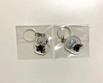 비바렌 메지루시 아크릴 참 레온 카즈